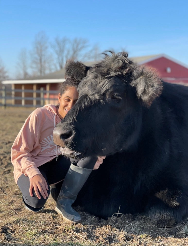 Open Barn Days and Events!